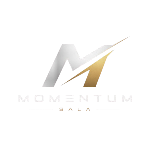 Momentum